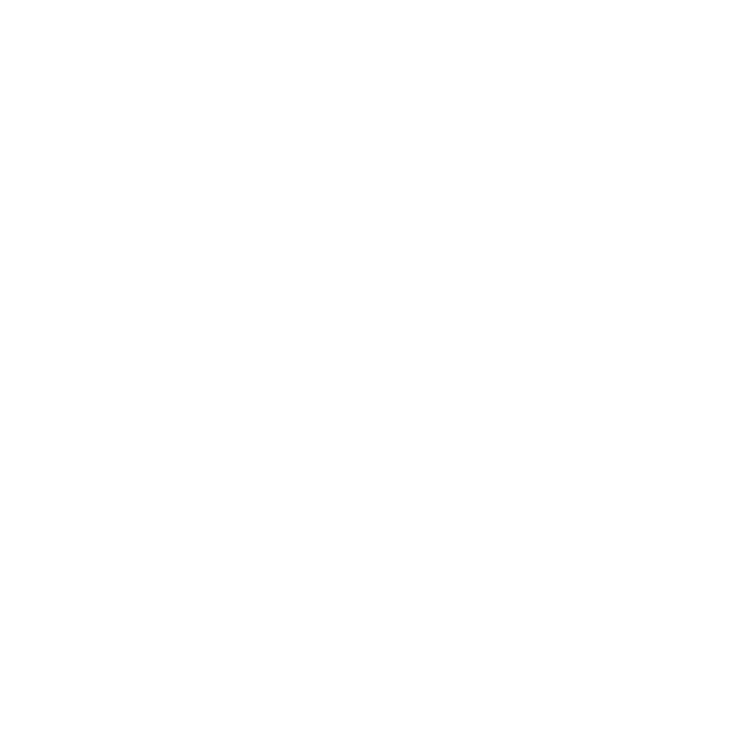 Capture audience interest and information